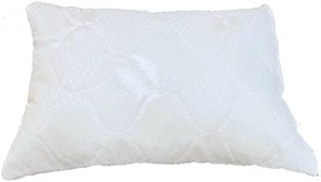 При покупке матраса из серий Mix, Lounge, Foam Classic, Foam Eco и серия Топ-30— подушка Cloud 40x60 в подарок. (1 заказ - 1 подушка)