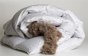{{photo.Alt || photo.Description || 'Импортное швейцарское одеяло "Trois Couronnes Royal Eiderdown"'}}