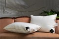 Импортная швейцарская подушка "Trois Couronnes Clima Night Goose Down Pillow" - фото 113887