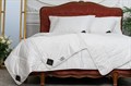 Импортное швейцарское одеяло "Trois Couronnes Nature Night Linen" - фото 113911