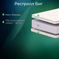 Матрас "Рестролл Биг" - фото 153998