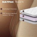 Матрас "Формат 15" - фото 154044